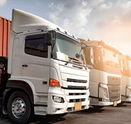 Freightwhale Global Logistics